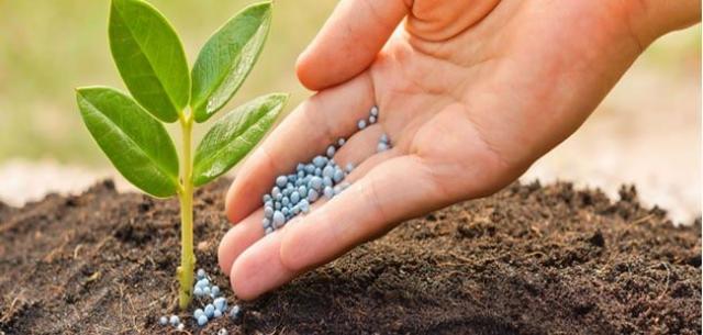 الاسمدة الزراعية .. أنواعها ومميزاتها